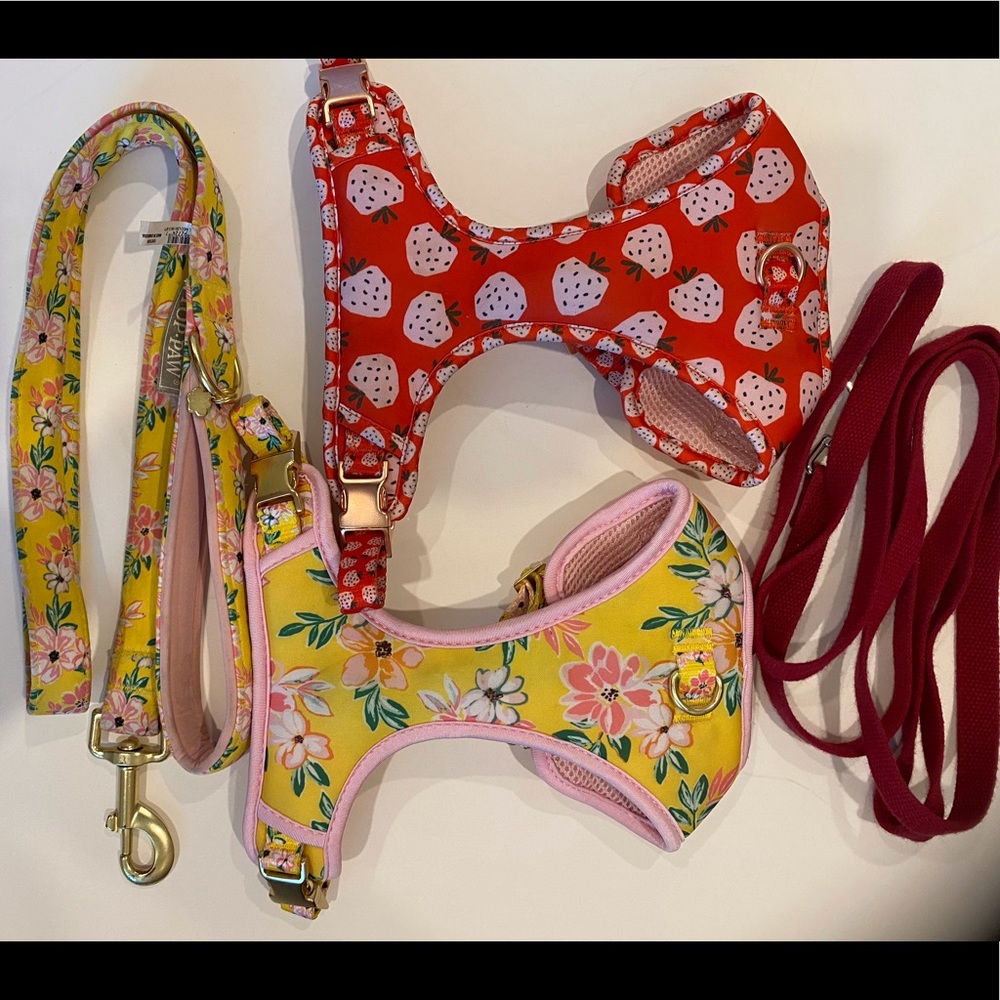 2 harnesses and 2 Leashes
